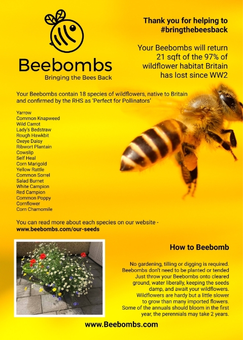 Bee Bomb